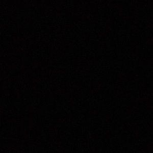 Meet your Posher, Travis